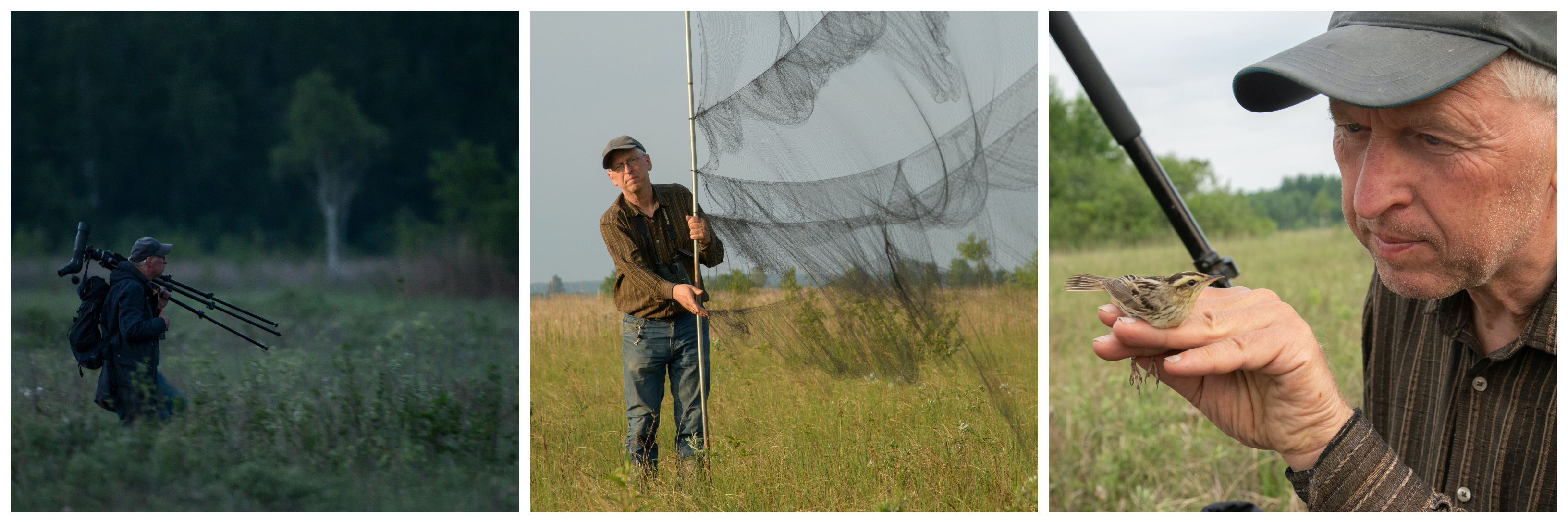 Мартин Фладе проводит исследование вертлявой камышевки с применением геолокатора. Фото Клауса Нигге